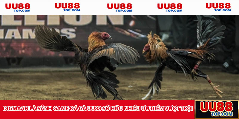DIGMAAN là sảnh game đá gà UU88 sở hữu nhiều ưu điểm vượt trội