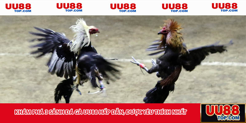 Khám phá 3 sảnh đá gà UU88 hấp dẫn, được yêu thích nhất