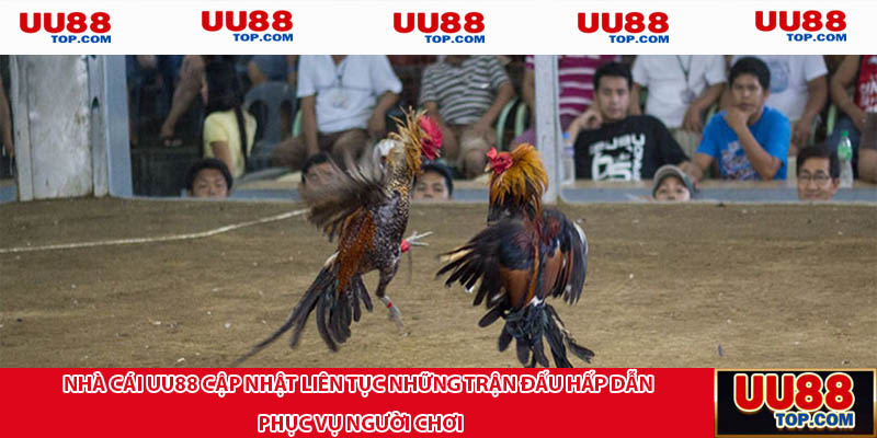 Nhà cái UU88 cập nhật liên tục những trận đấu hấp dẫn phục vụ người chơi